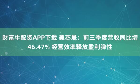 财富牛配资APP下载 美芯晟:前三季度营收同比增46.47% 经营效率释放盈利弹性