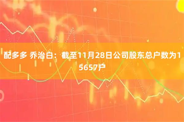 配多多 乔治白：截至11月28日公司股东总户数为15657户