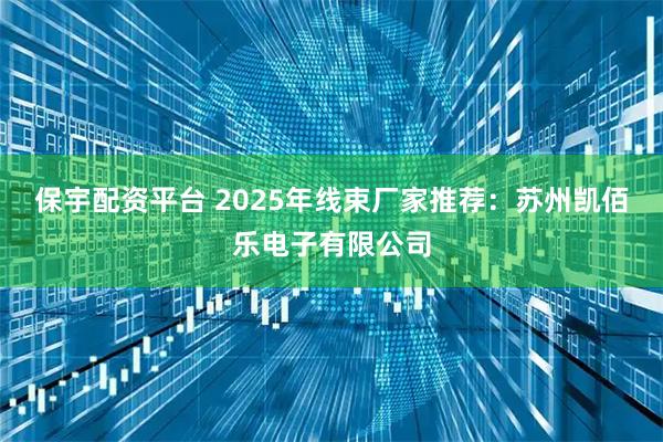 保宇配资平台 2025年线束厂家推荐:苏州凯佰乐电子有限公司