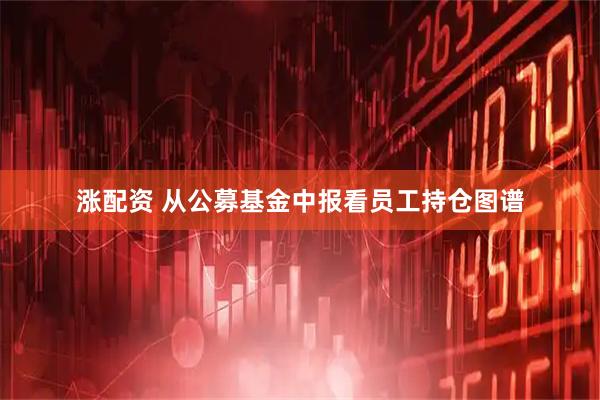 涨配资 从公募基金中报看员工持仓图谱